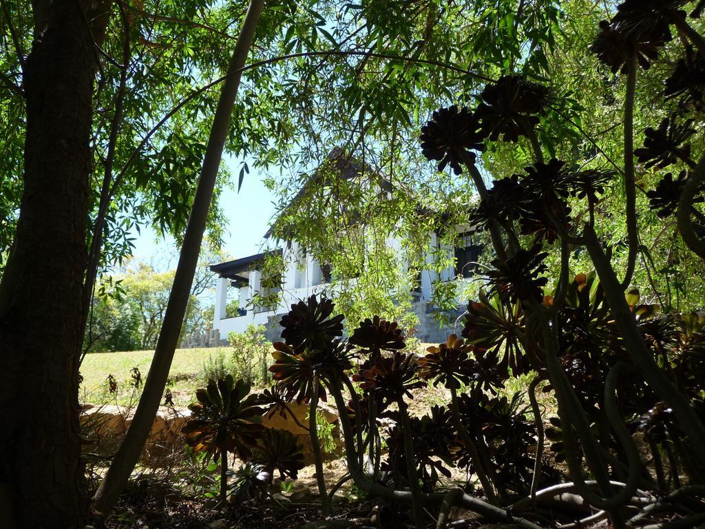 Karoo Soul Pansiyon Oudtshoorn Dış mekan fotoğraf